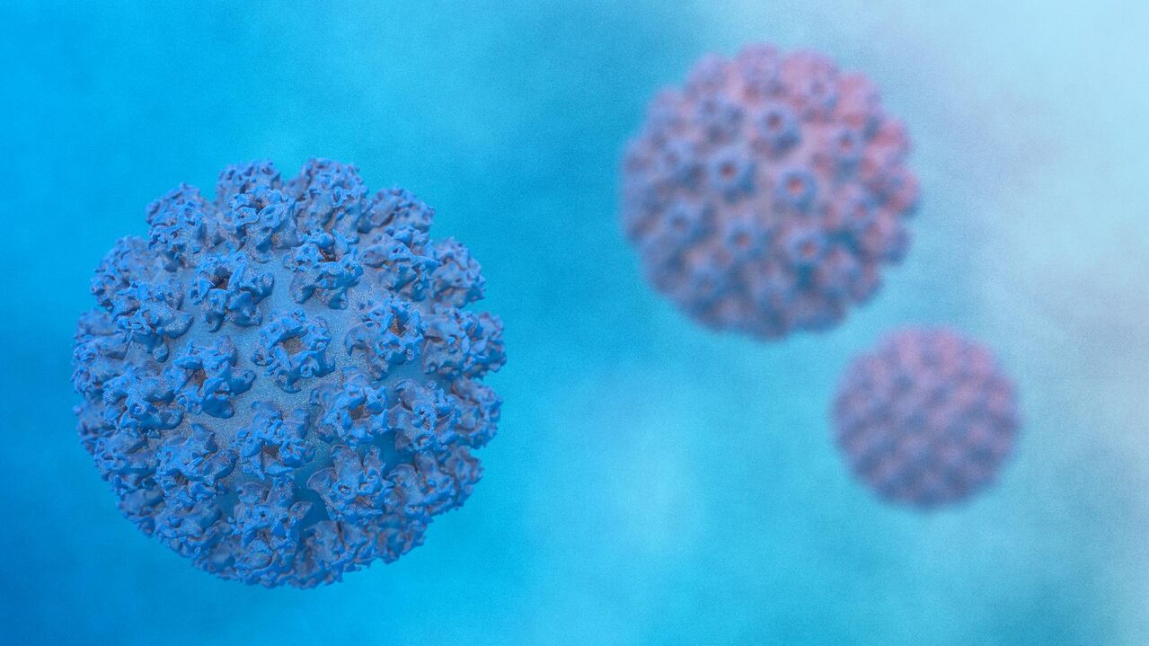 Papilloma