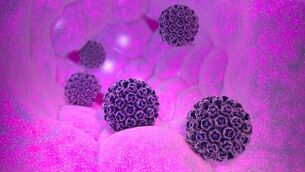 Was ist das humane Papillomavirus